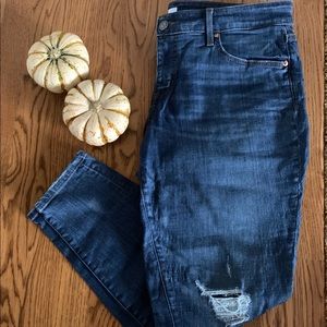 LOFT Plus | Distressed Skinny Jean